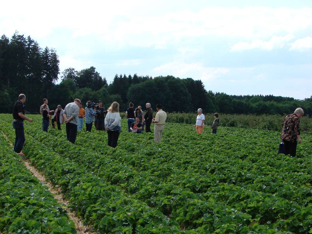 Eberle Gärten BR Abendschau in Buchendorf am 16.06.2009